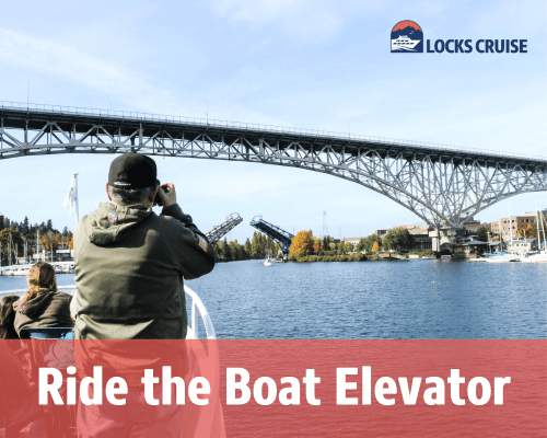 Ride the Boat Elevator on Locks Cruise